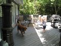 Maj2009 029